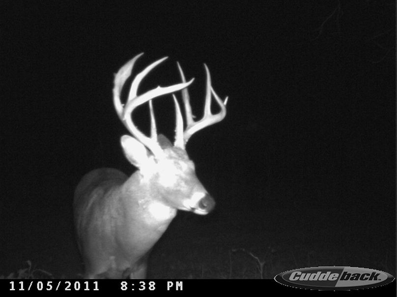 2011-11-05 20.38.00-1