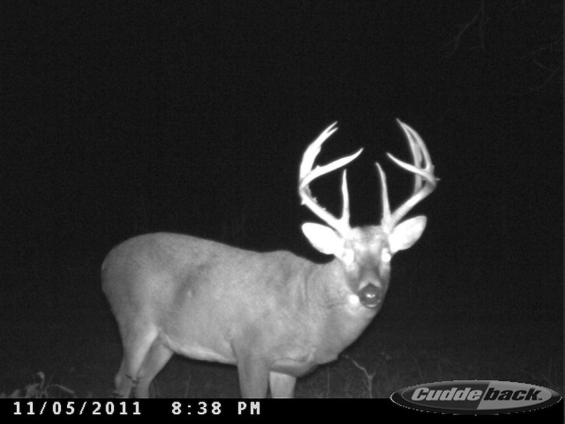 2011-11-05 20.38.00-2