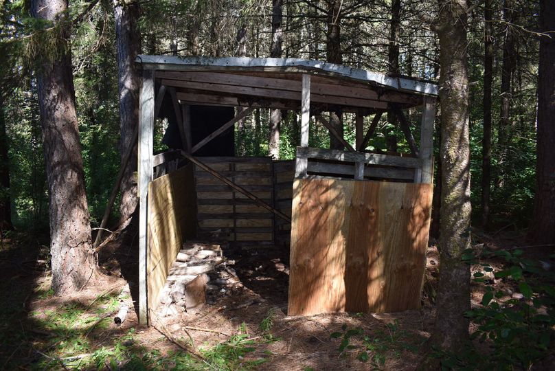 45 wood shed