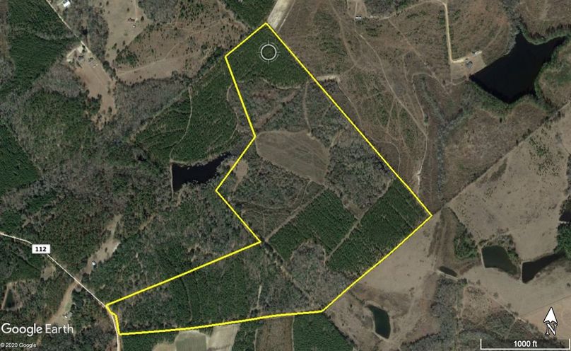 V2hlZWxlciAxMTkgYWVyaWFs