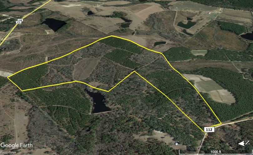 V2hlZWxlciAxMTkgdGVycmFpbg==