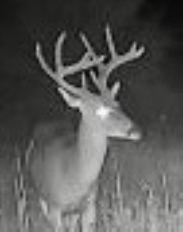 864049058846645-90-3-08312023021612-W1002483