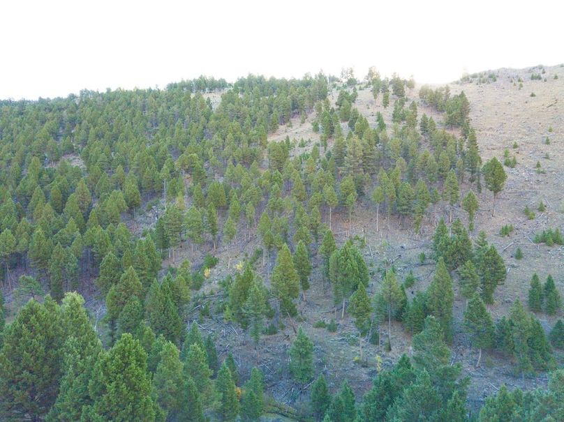 20240925-DJI_0136