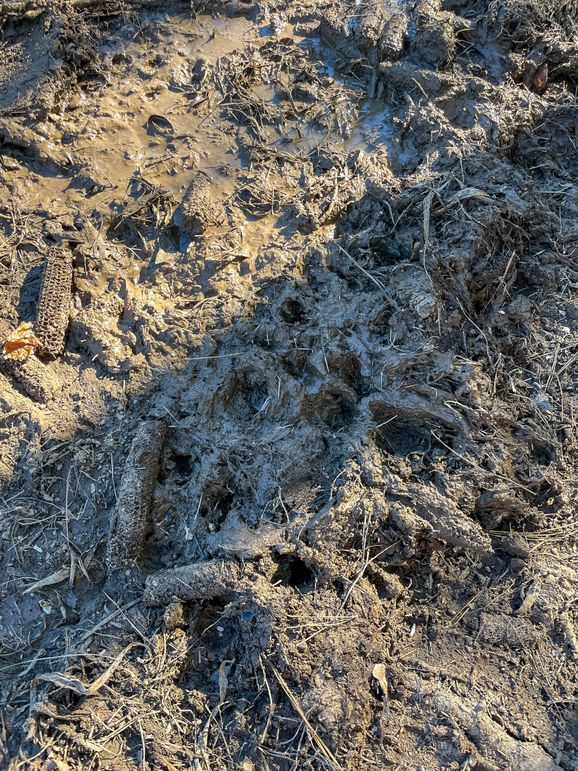 Pender NC 382 - Edits-55