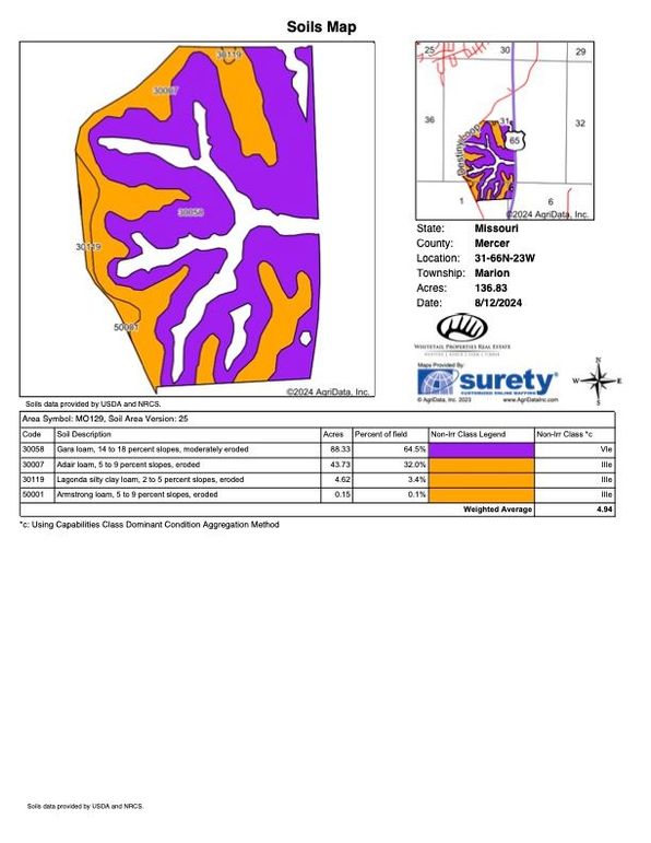 Chapman soil map copy