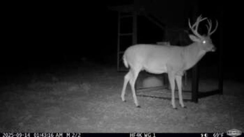 c4db1e2260319ec88aafb3e4efc14d94-small