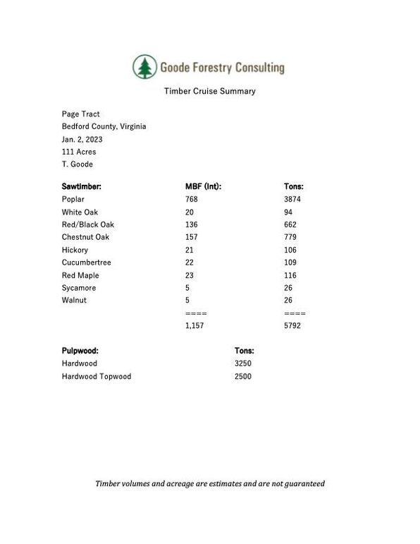 Timber Report2