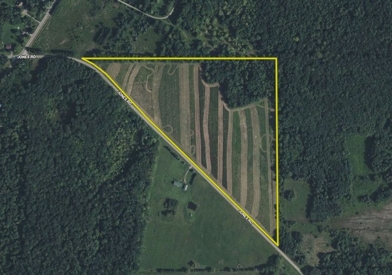 Screen Shot 2025-09-04 at 11.22.02 AM