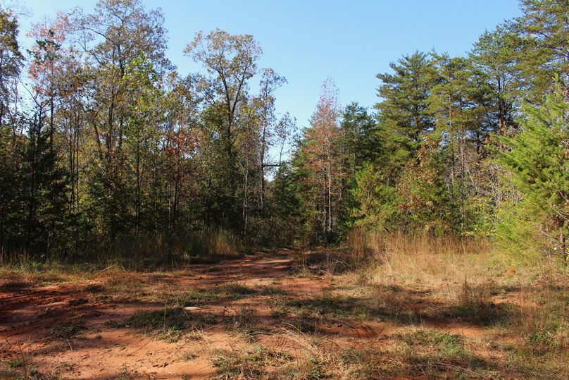 007 drive turnaround