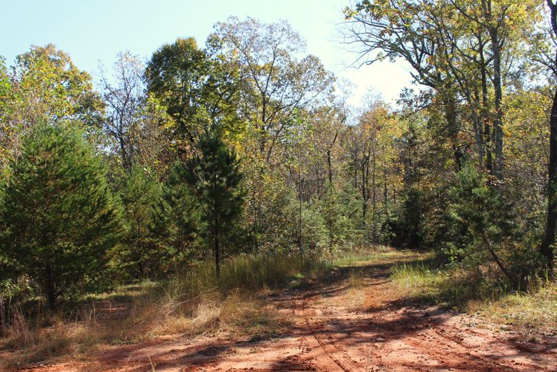 006 drive turnaround to trail