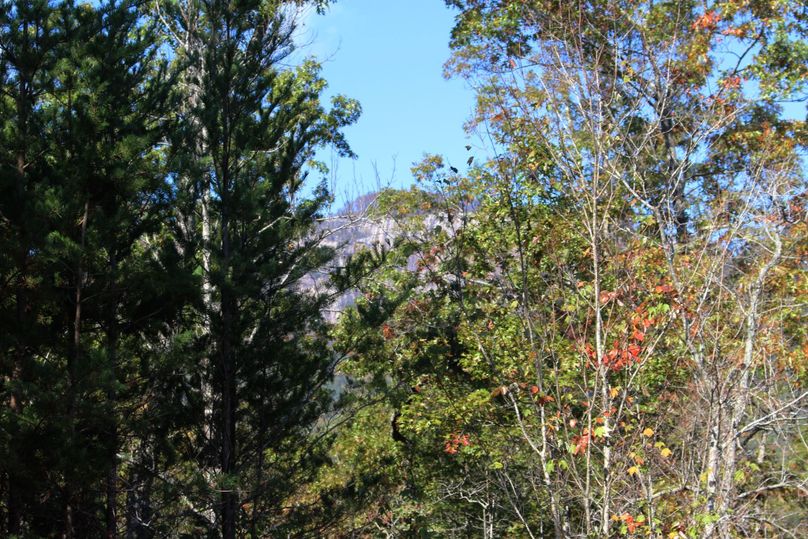 009 table rock through trees