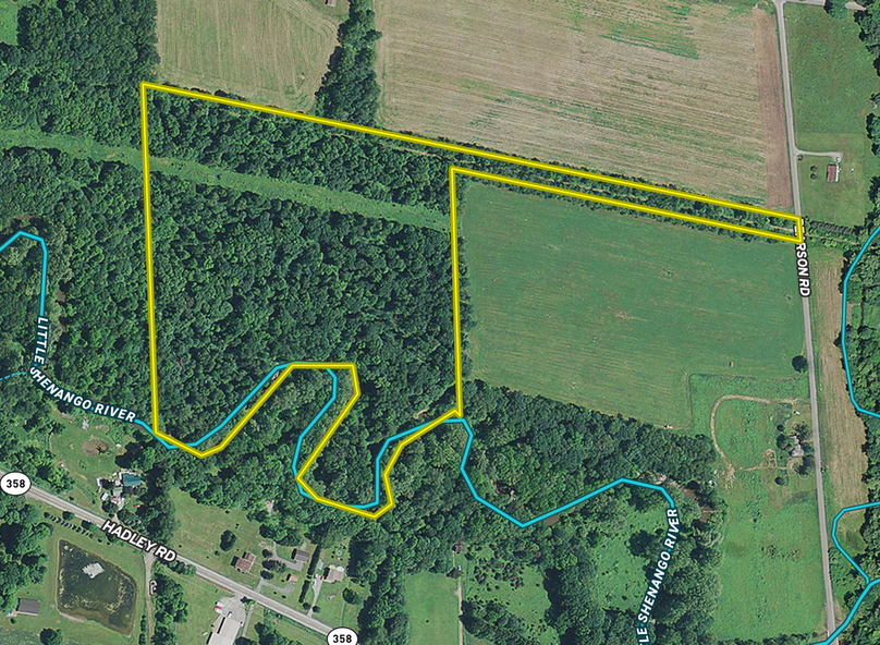 Screen shot 2020-11-17 at 1.46.58 pm