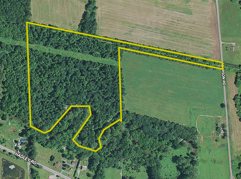 Screen shot 2020-11-17 at 1.46.27 pm