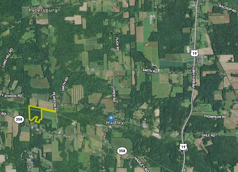 Screen shot 2020-11-17 at 1.47.54 pm