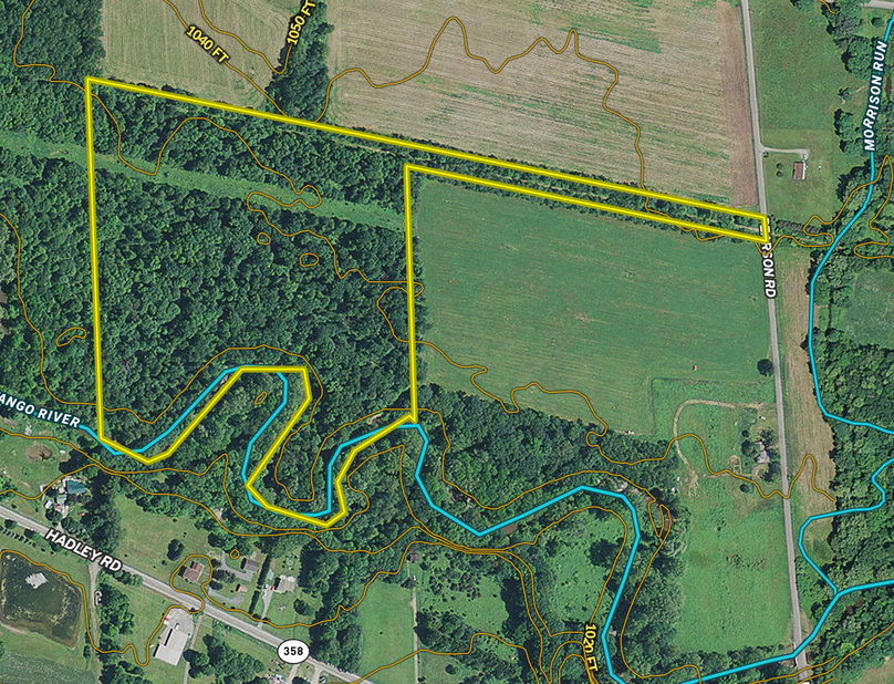 Screen shot 2020-11-17 at 1.47.24 pm