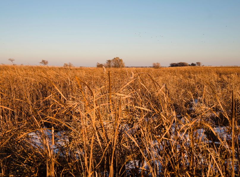 10 - looking s tillable   edge