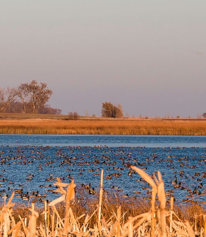 1 - looking e from peninsula