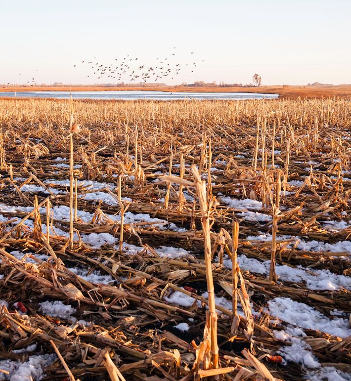 3 - looking se from tillable