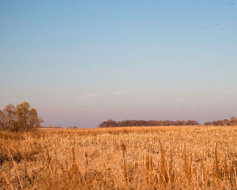 5 - looking ne tillable