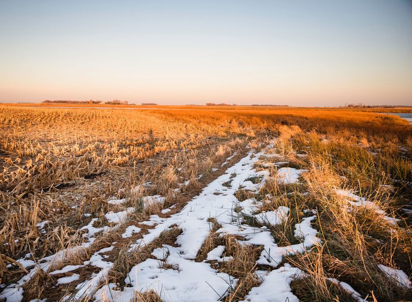 6 - looking se tillable   slough