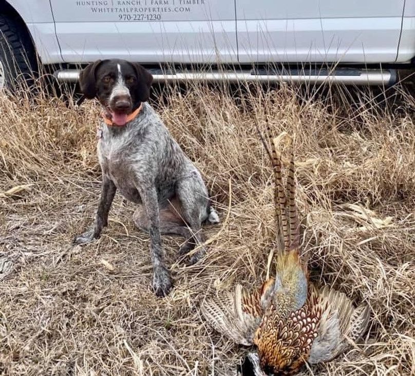 Image0 - 2021-01-09t201214.870