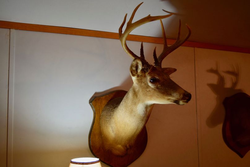 19 home grown bucks-2