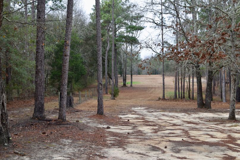 47 traveling along south property line-2