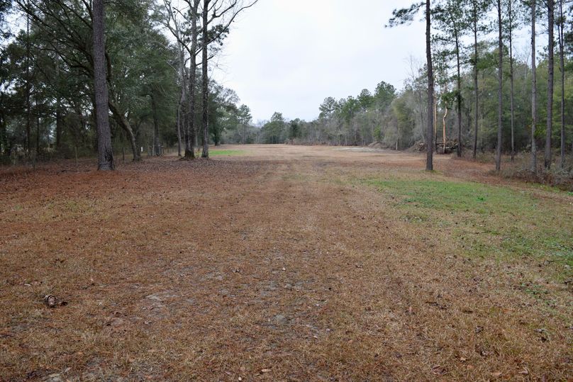 49 potential food plots-2