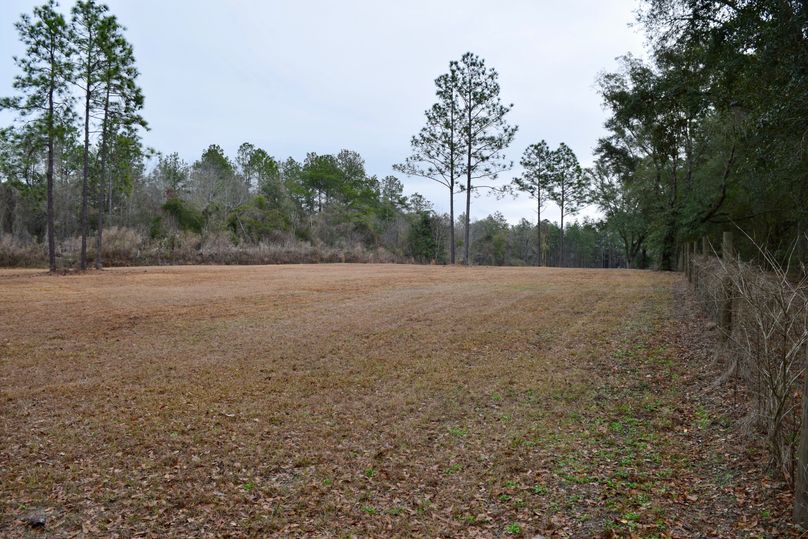54 southwest corner of property looking east-2