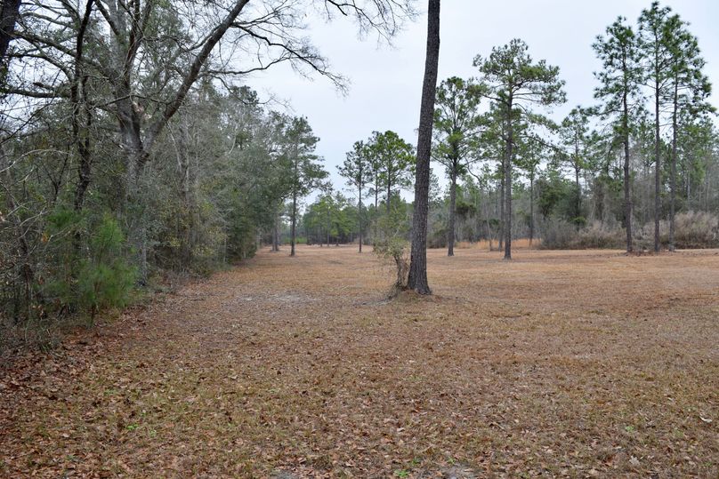 55 southwest corner of property looking north-2