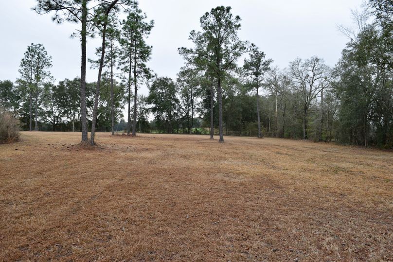 56 view looking back towards southwest corner of property-2