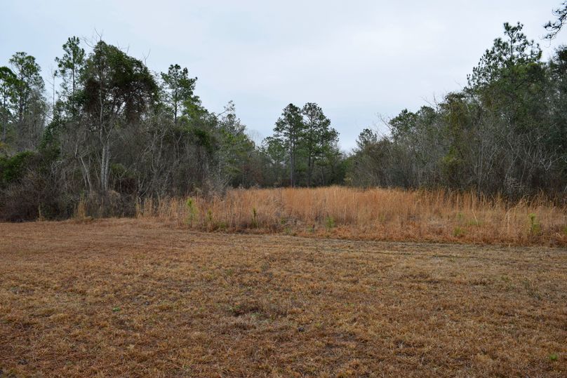 57 potential food plot area-2