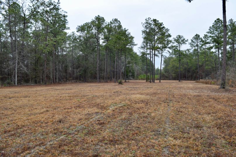 58 view looking towards northwest corner of property-2