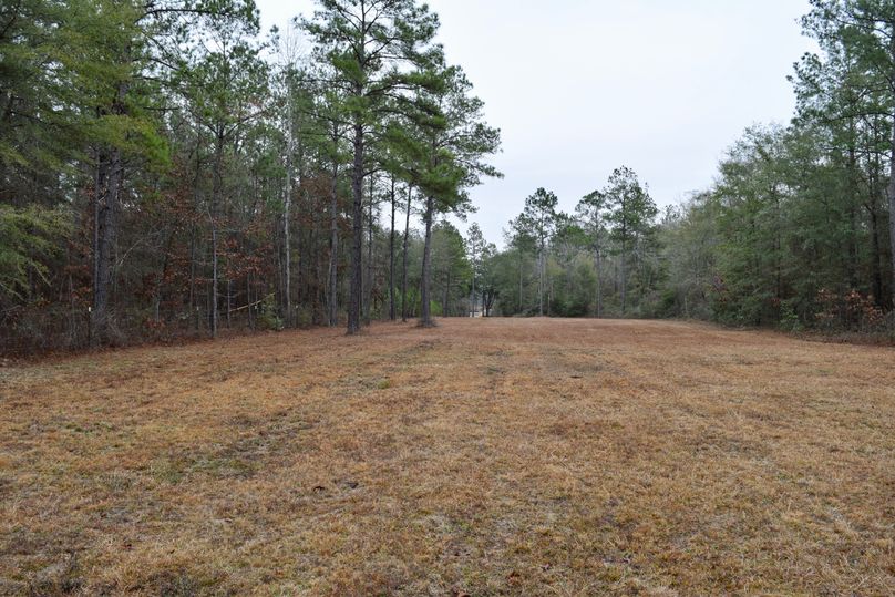 59 northwest corner of property looking east-2