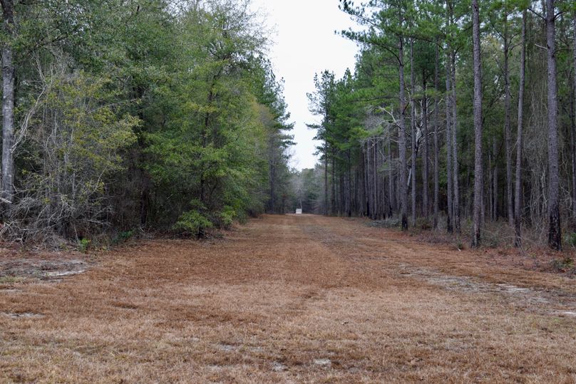 51 permanent box shooting lane-2