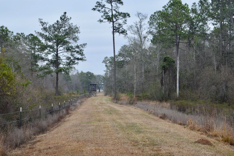 68 permanent box stand along northern border-2