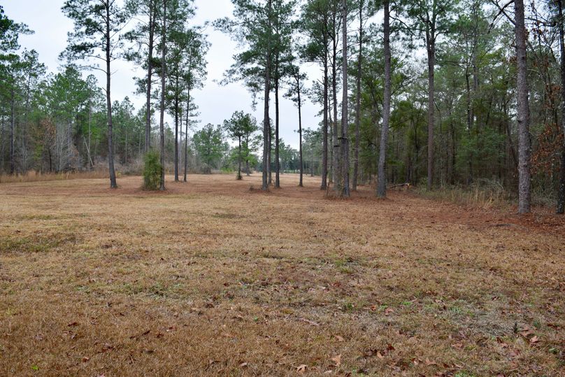 60 northwest corner of property looking south-2