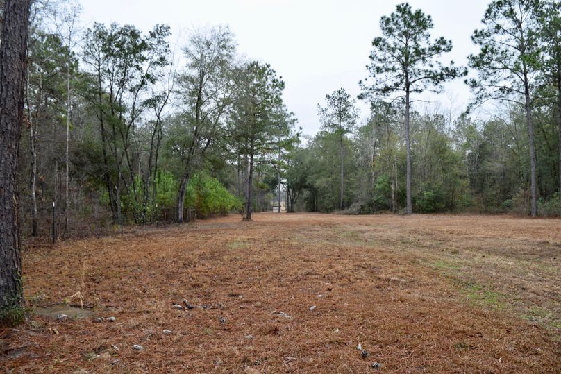 61 northern property line-2