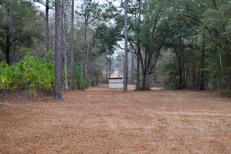 62 permanent ground blind along northern border-2