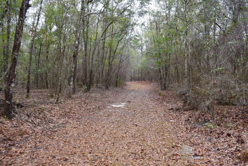 63 interior trail system-2