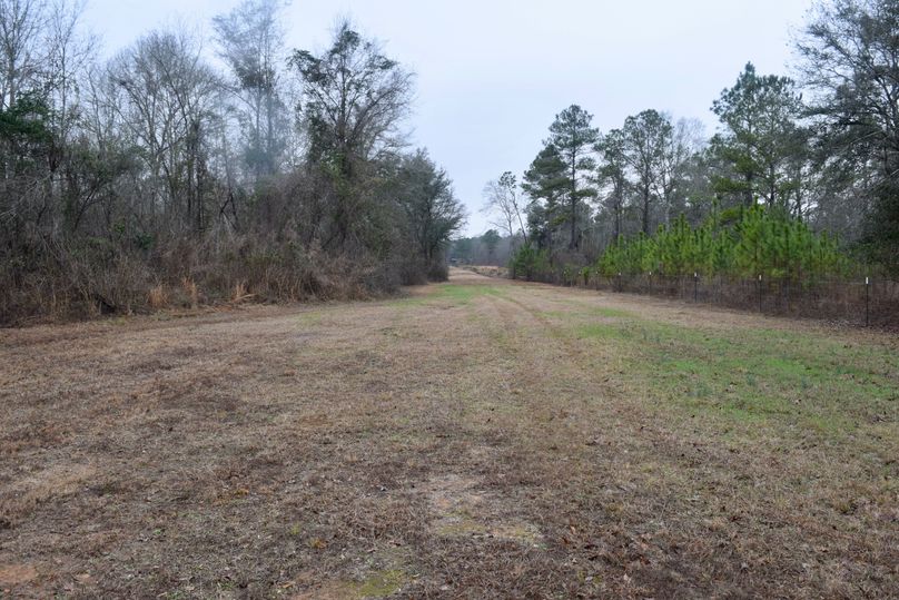 74 view looking west along north property line-2