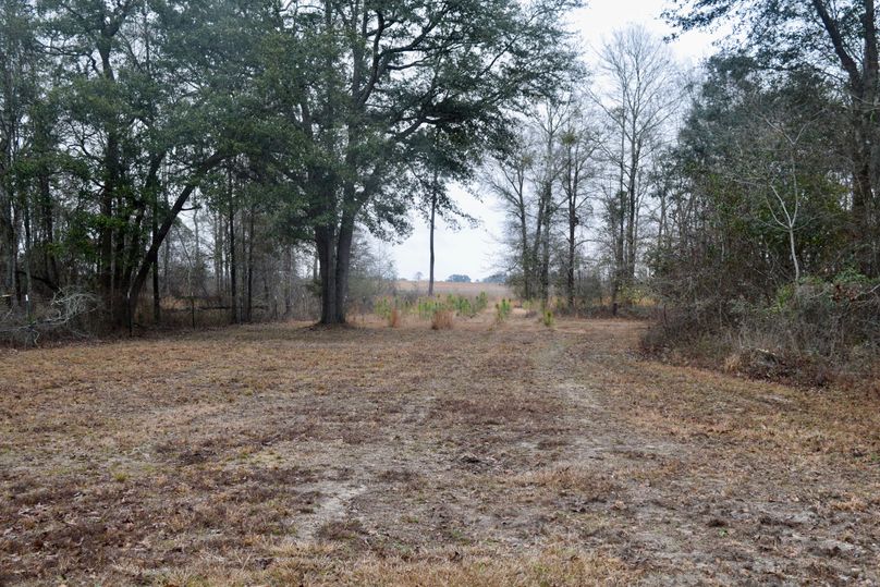 75 view looking towards northeast corner of property-2