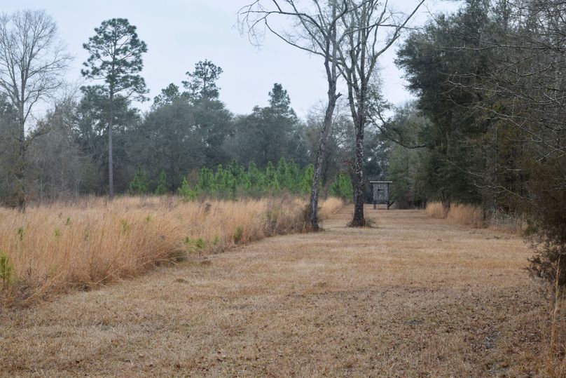 76 permanent box stand 2-2