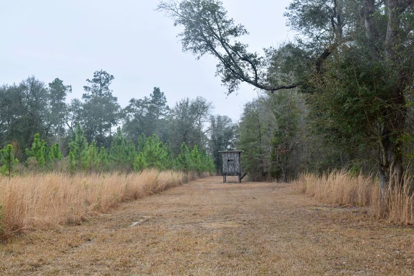 77 permanent box stand 2-2