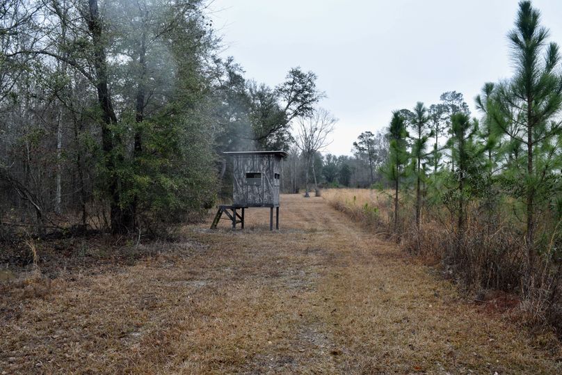 79 custom built box stands-2