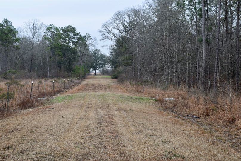 70 middle ways along north property line-2