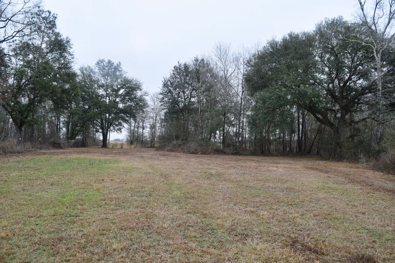 72 potential food plot area-2