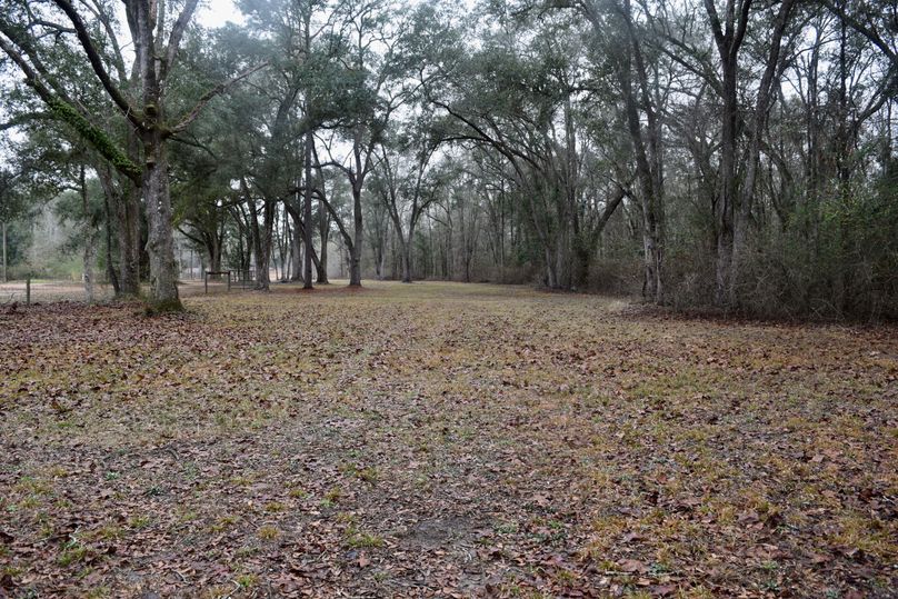 84 southeast corner looking west through beautiful water oaks-2