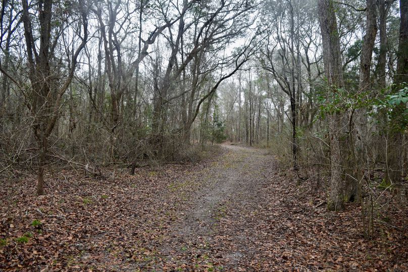 85 one of many interior trails-2