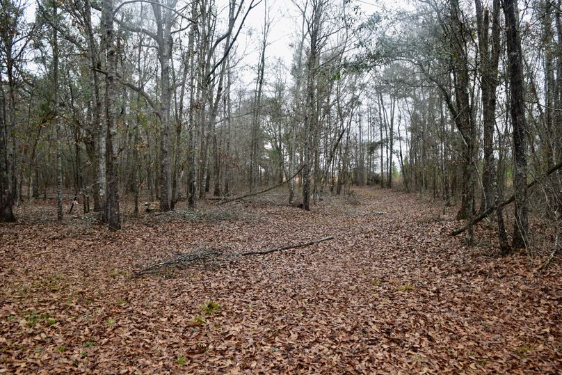 87 extensive trail system-2